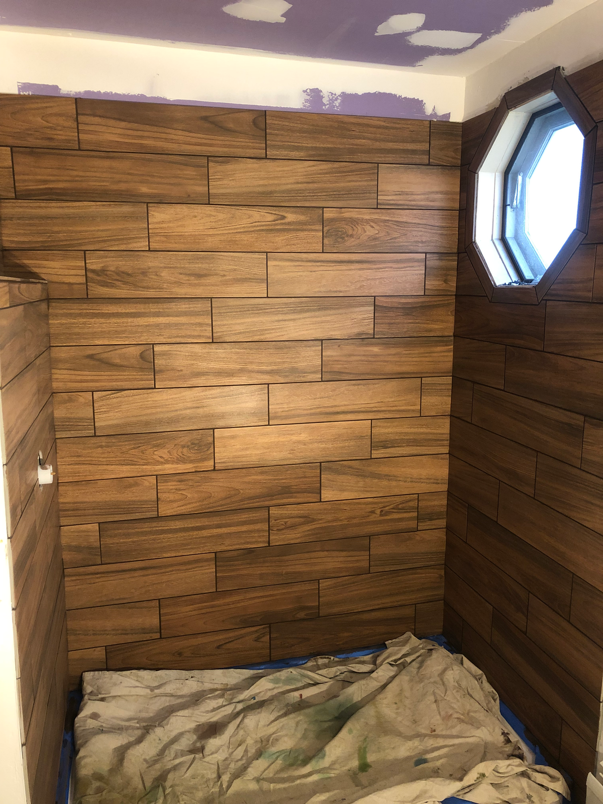 Belgrade Village Bathroom Remodel project photo 11