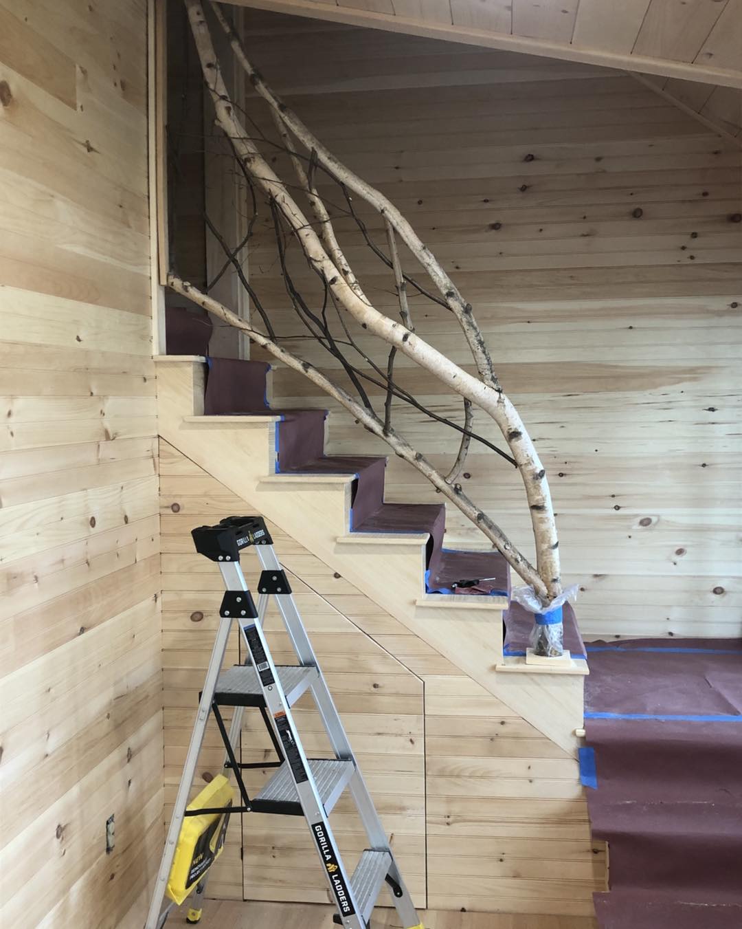 Rome Living Room & En-Suite Addition project photo 6